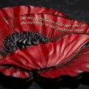 sculpted-pure-silver-remembrance-poppy-coin-ode-engraving-detail.webp