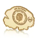 sculpted-pure-silver-remembrance-poppy-coin-obverse.webp